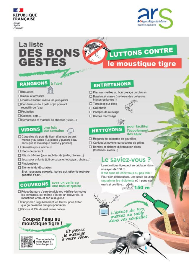 Luttons contre le moustique tigre